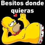 brincos