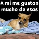 A mi me gustan mucho de esas