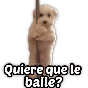 0OqVyP
