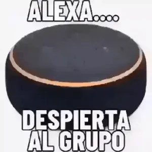 TSNAPi