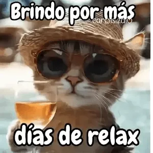 wklhd6t