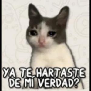 Bo0ihi