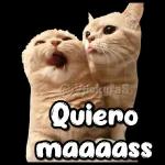 @Vickyfas Besame pues