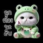 ข้าวต้ม ชุดกบ หน้าบูด