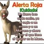 no me escribas en ese tono!