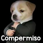 siiiii