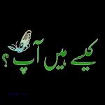 naseer