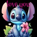 Stitch's love