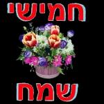 הורדה חינם, עדכונים יומיים, אין צורך בכניסה