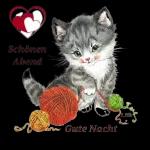 Ich wünsche dir ein feines
Träumchen schlaf schön