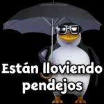 Buenos días 