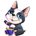 💚Gesundheit ist das Beste💚