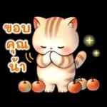 **** น่ารัก มากๆ เบบี๋ของ เฮียนะ