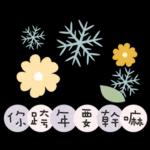 聖誕節&新年快樂