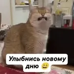 Скукота... Ни куража, Ни разврата...