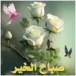 ملصقات وتس 