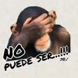 XCSJHX