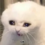 Cute