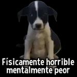 Estúpidos