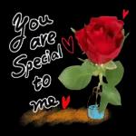 Thank you so much