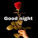 Good
Night