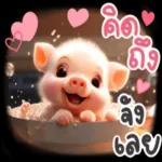 ดาวน์โหลดฟรี