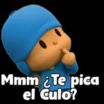 jajaja todo pendejo