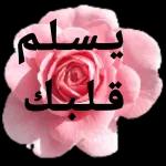 مش هرد عشان انا محترمه