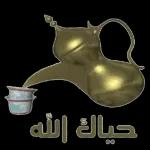 په عمرکی دی برکت شه ليك عادل زرگمری