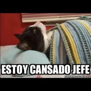 jutEno