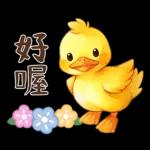 黃毛鴨