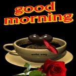 rise and shine🌞🌞🌞😘😘😘