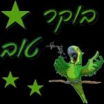 הורדה חינם, עדכונים יומיים, אין צורך בכניסה
