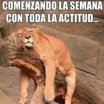 con toda la actitud