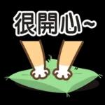 ♡ 貓咪愛你 ♡ 實用日常(含母親節祝福)
