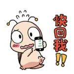 你在哪？快回我！出事了！