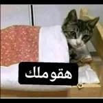 تصبحون على خير