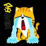 貓爪抓歡喜供台語