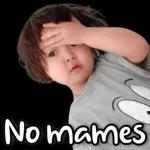 Chale
