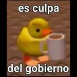 es culpa del gobierno