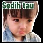 hari raya package