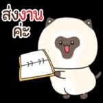 มันก็คือเซอร์ไพรส์ที่มีคุณ❤️❤️