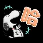 【中文】Snoopy♡立體貼圖