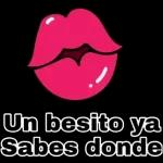 amor amor amor amor amor amor amor 