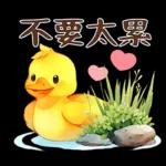 黃毛鴨