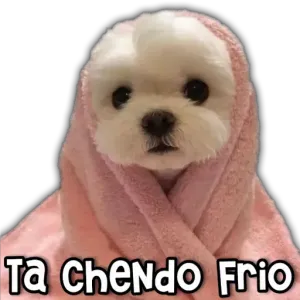 Ta CheNdo Frio - getsticker.com