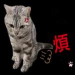 等你喔
