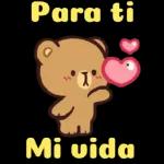 Te adoro, mi amor