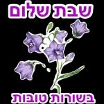 שבת שלום
