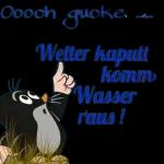 Bussi
